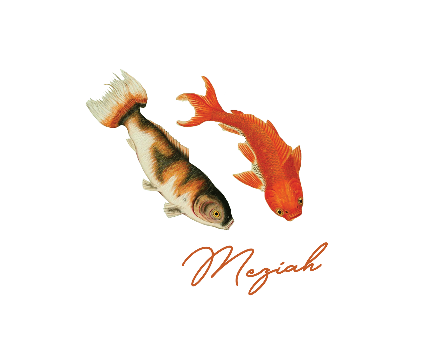 Koi Fish Tee