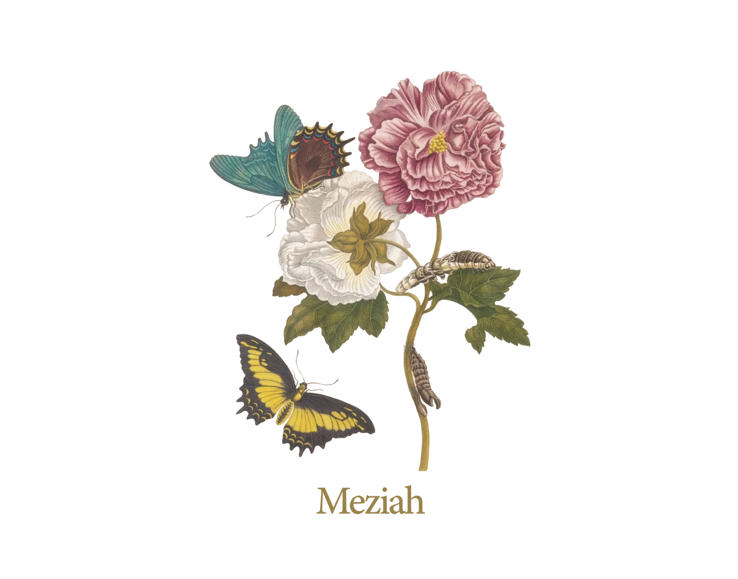 Botanical Tee